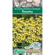 Желтушник (Эризимум) гибридный «Канары»
