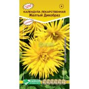 Календула лекарственная «Желтый Дикобраз»