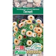 Календула лекарственная «Пигмей»
