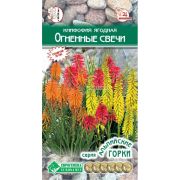 Книфофия ягодная «Огненные свечи»/ Евросемена