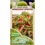Колеус блюме «Волшебные Искорки»