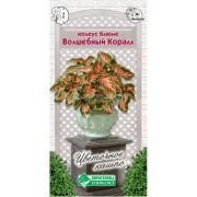 Колеус блюме «Волшебный Коралл»