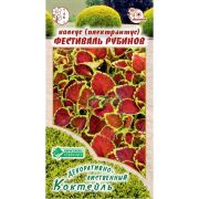 Колеус блюме «Фестиваль Рубинов»