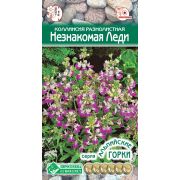 Коллинсия разнолистная «Незнакомая Леди»
