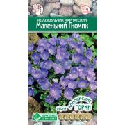 Колокольчик карпатский «Маленький Гномик»