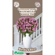 Колокольчик средний «Колокола Юности»