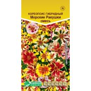 Кореопсис гибридный «Морские Ракушки смесь»