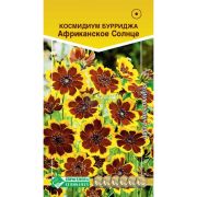 Космидиум Бурриджа «Африканское Солнце»