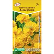 Космос махровый «Желтый ковер»