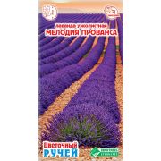 Лаванда узколистная «Мелодия Прованса»