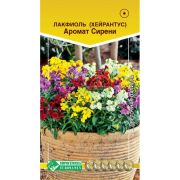 Лакфиоль (Хейрантус) «Аромат Сирени»