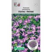 Лобелия ежевидная «Пэлас Лилак»
