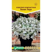 Лобелия компактная «Белая леди»/ Евросемена