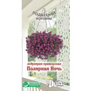 Лобулярия приморская «Полярная ночь»