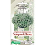 Лобулярия приморская «Северный Ветер»