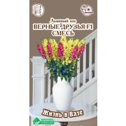 Львиный зев «Верные Друзья F1»/ Евросемена