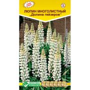 Люпин многолистный «Долина гейзеров»