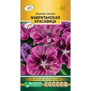 Мальва лесная «Мавританская красавица»