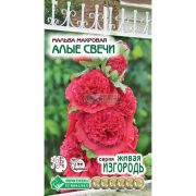 Мальва махровая «Алые свечи»