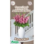 Маттиола (Левкой) «Матильда Античная Роза»