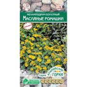 Меламподиум болотный «Масляные Ромашки»