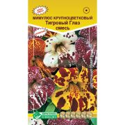 Мимулюс крупноцветковый «Тигровый глаз смесь»