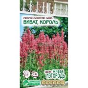Многоколосник кана «Виват, Король»