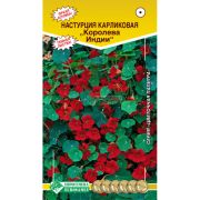 Настурция карликовая «Королева Индии»