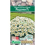 Нивяник великолепный «Мадонна F1»