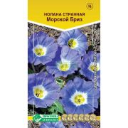 Нолана странная «Морской Бриз»