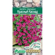 Обриета гибридная «Красный Каскад»