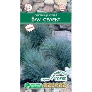 Овсяница сизая «Блу Селект»