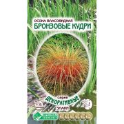 Осока власовидная «Бронзовые Кудри»