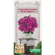 Остеоспермум эклона «Роза Страсти»
