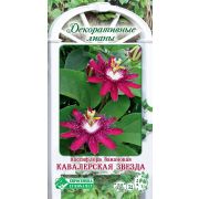 Пассифлора банановая «Кавалерская Звезда»