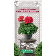 Пеларгония садовая «Ринго 2000 Кардинал»