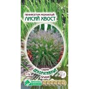 Пеннисетум мохнатый «Лисий Хвост»