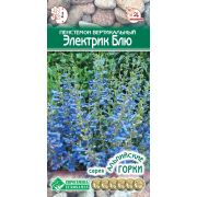 Пенстемон вертикальный «Электрик Блю»