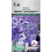 Петуния ампельная «Ивнинг Сенсейшн F1»