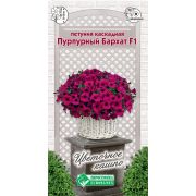 Петуния каскадная «Пурпурный Бархат F1»