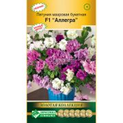 Петуния махровая букетная «Аллегра F1»