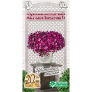Петуния мини многоцветковая «Маленькая Звездочка F1»