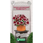 Петуния многоцветковая «Конфетка F1»