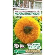 Подсолнечник декоративный «Махровая Темноглазка»