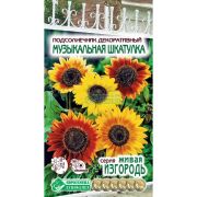 Подсолнечник декоративный «Музыкальная Шкатулка»
