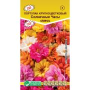 Портулак крупноцветковый «Солнечные Часы смесь»