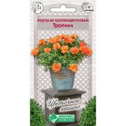 Портулак крупноцветковый «Тропики»