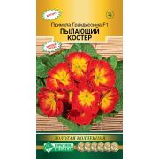 Примула «Грандиссима Пылающий Костер F1»