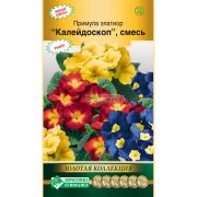 Примула элатиор «Калейдоскоп» смесь