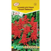 Сальвия блестящая «Алый Пикколо»